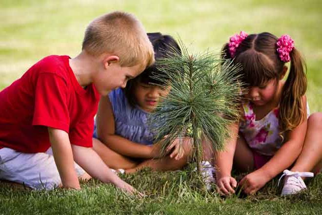 Children Planting a Tree